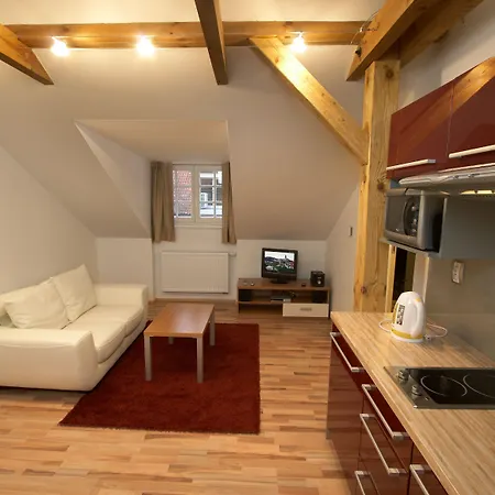 U Cerne Veze Aparthotel
