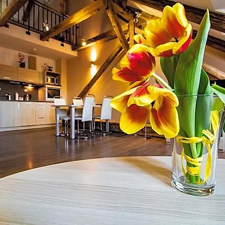 Aparthotel U Cerne Veze 4*