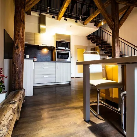 Hotel apartamentowy U Cerne Veze 4*