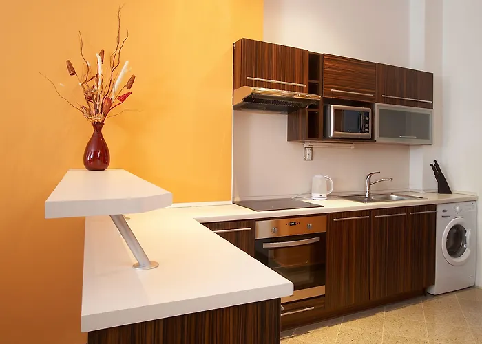 유 체르네 베제 체르케 부데요비체 체스케부데요비체